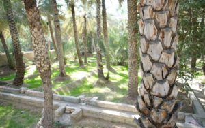 Al Ain, ősi öntözőrendszer, faladzs (falaj)